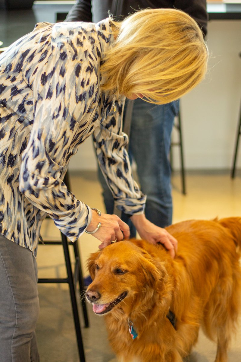 HansellTierney's tweet photo. Season's greetings from Hansell Tierney! ✨

Our recent Open House was a delightful blend of good food, furry friends, and engaging conversations. As we cherish these moments, we extend warm wishes to you &amp; your loved ones for a joyous holiday season filled with togetherness. https://t.co/RtnTCoyzXX
