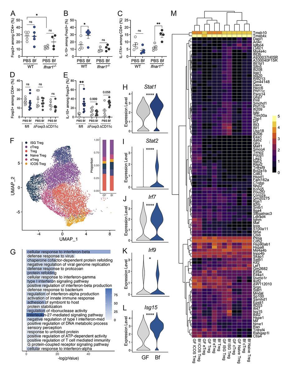 Findings from Ayala @avayala14, Chu @theChuLab @UCSanDiego and colleagues demonstrate a critical role of commensal-mediated immune #tolerance via tonic type I IFN signaling. hubs.ly/Q02c_N4D0 #MucosalImmunology #InnateImmunity #inflammation #microbiome