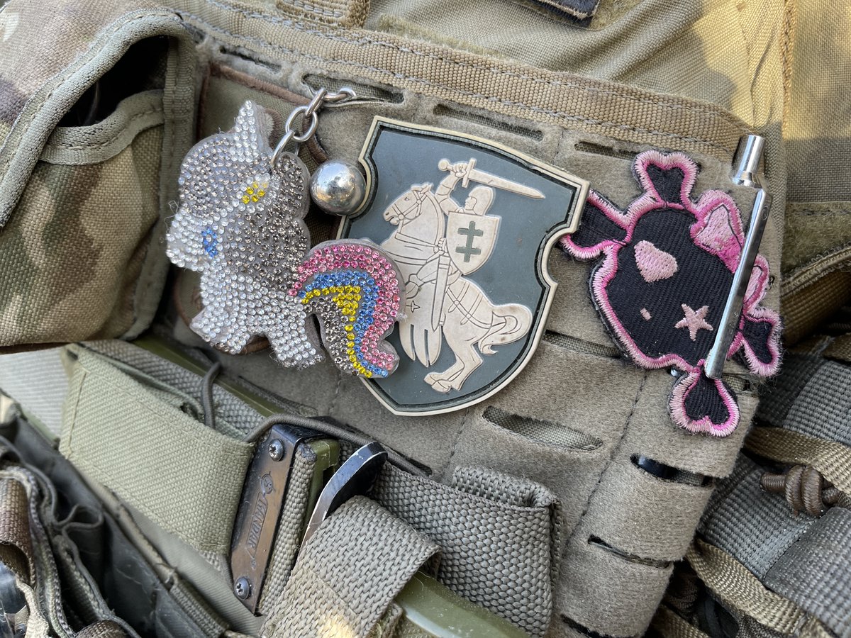belwarriors's tweet photo. Even on the front line we have ways to express ourselves. In the selection of Belarusian fighters patches you can find  not only the classic Belarusian "Pahonia", but even pink ponies! https://t.co/q2d70jdk7M