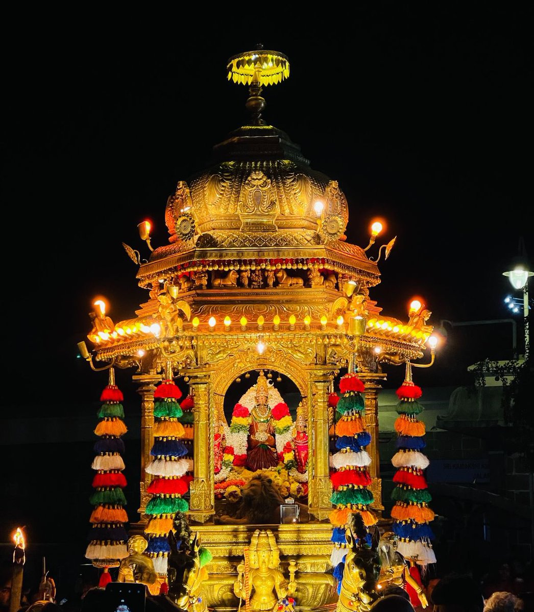 KamakshiTemple's tweet photo. #Margazhi #Pelarnami #Thangaratha #Utsavam was performed today for Sri #Kamakshi #Ambal, #Kanchipuram https://t.co/Z1QgZ0MfKH