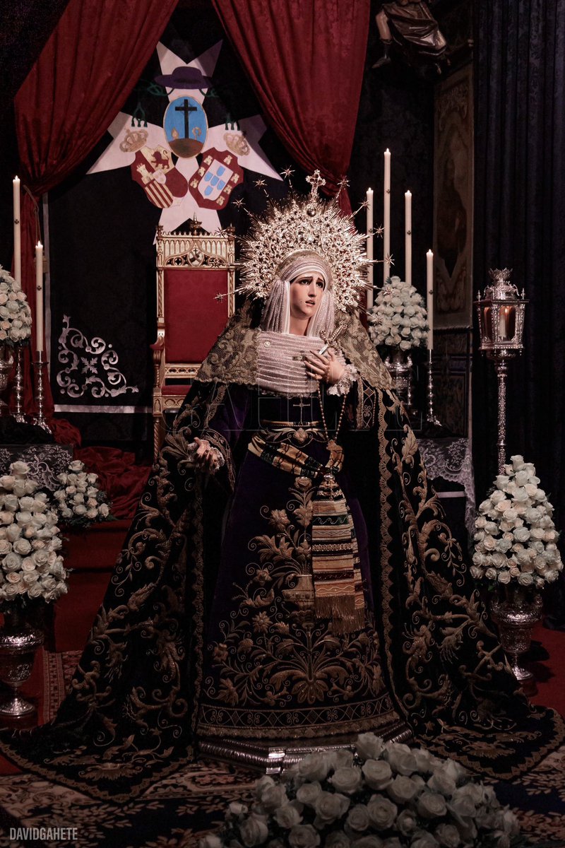 david_gahete's tweet photo. #Inmaculada23 - Soledad | @hdadsoledad
#TDSCofrade https://t.co/f9oo6al7yB