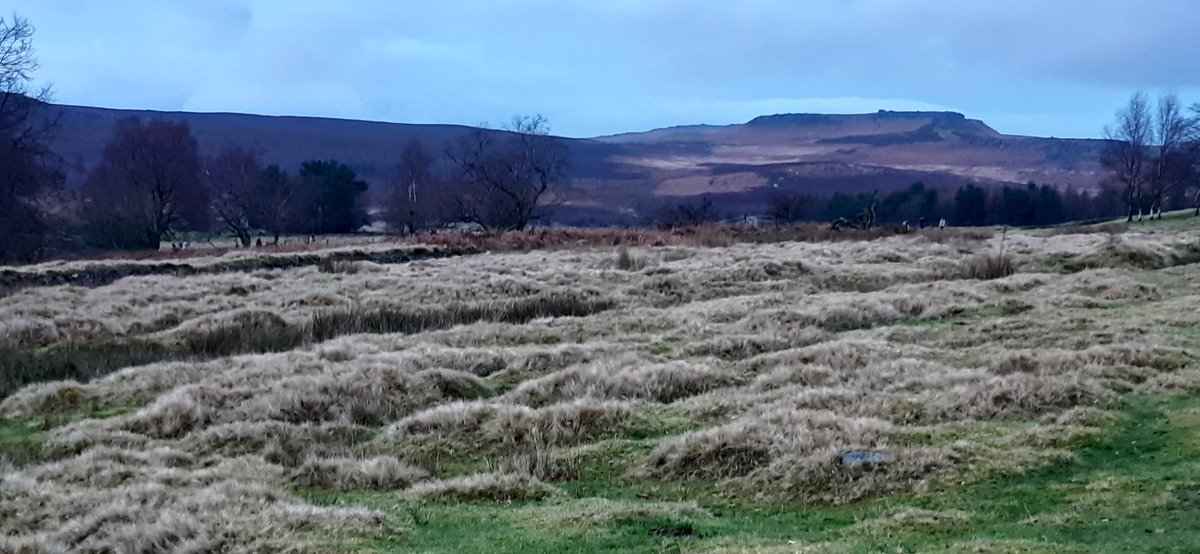 louisem09717316's tweet photo. Good to get out for a Boxing Day walk @PeakDistrictNT #Longshaw. View towards Higger Tor. https://t.co/cnEWPpPgmq