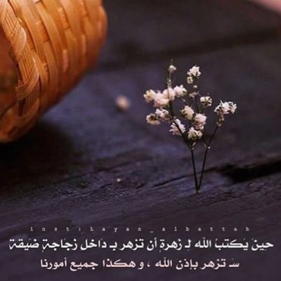 melis demir tweet media