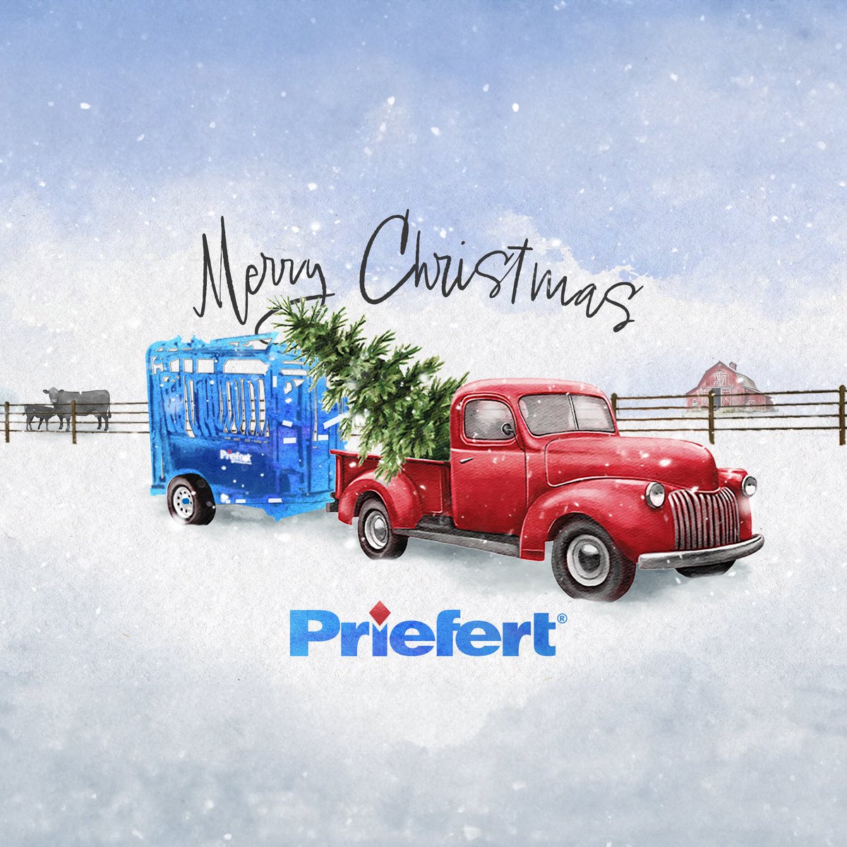 Little red truck, carrying a Christmas tree, hauling a squeeze chute. We wish you a Merry Christmas! #Christmas