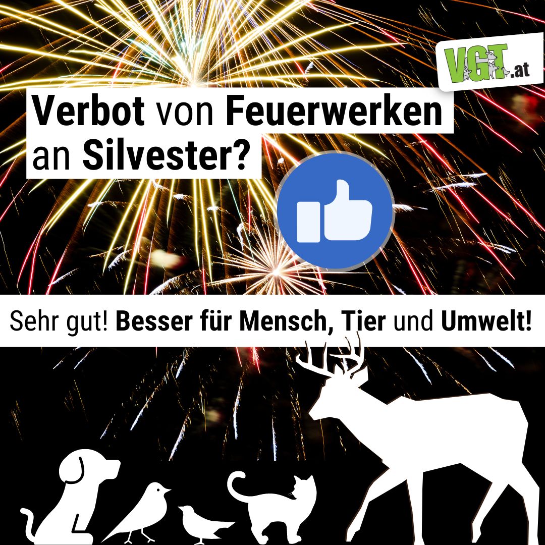 vgt_at's tweet photo. Wir stimmen für: JA❗️ Wie ist eure Meinung zu diesem Thema❓⥥ Wer möchte, kann uns bei dieser Petition unterstützen: https://t.co/NrtvA4RuWH !B https://t.co/zBu2Z8x9u5