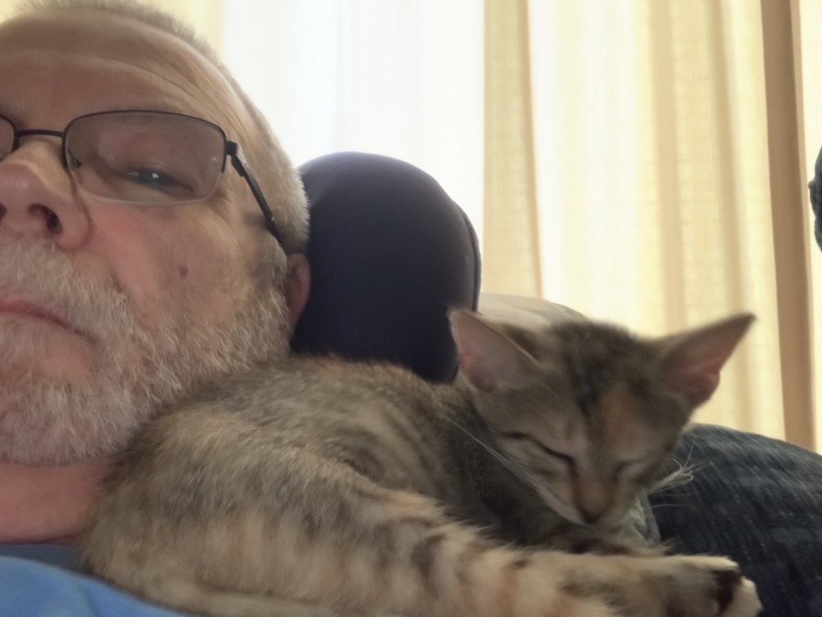 ImusFincter's tweet photo. I found this living in a watering can in my back yard. She has grown into those ears over time. Save ‘em if you can. https://t.co/Dz1y6KYolE