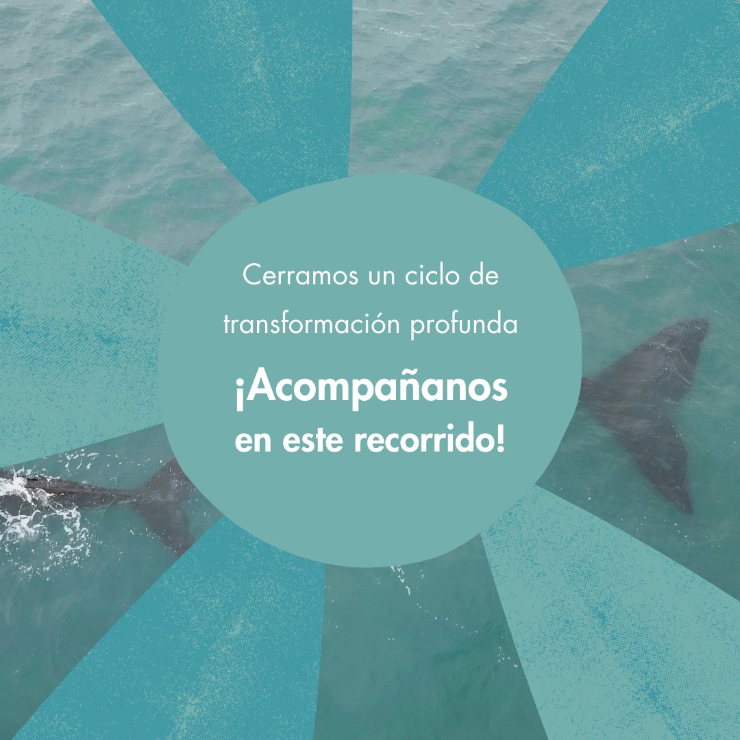 occuruguay's tweet photo. Este 2023, replanteamos nuestra esencia y reafirmamos nuestros valores de transparencia y ética y de creación colaborativa, consolidando alianzas nacionales y regionales. 🐋💙 https://t.co/rMgyIPEsax