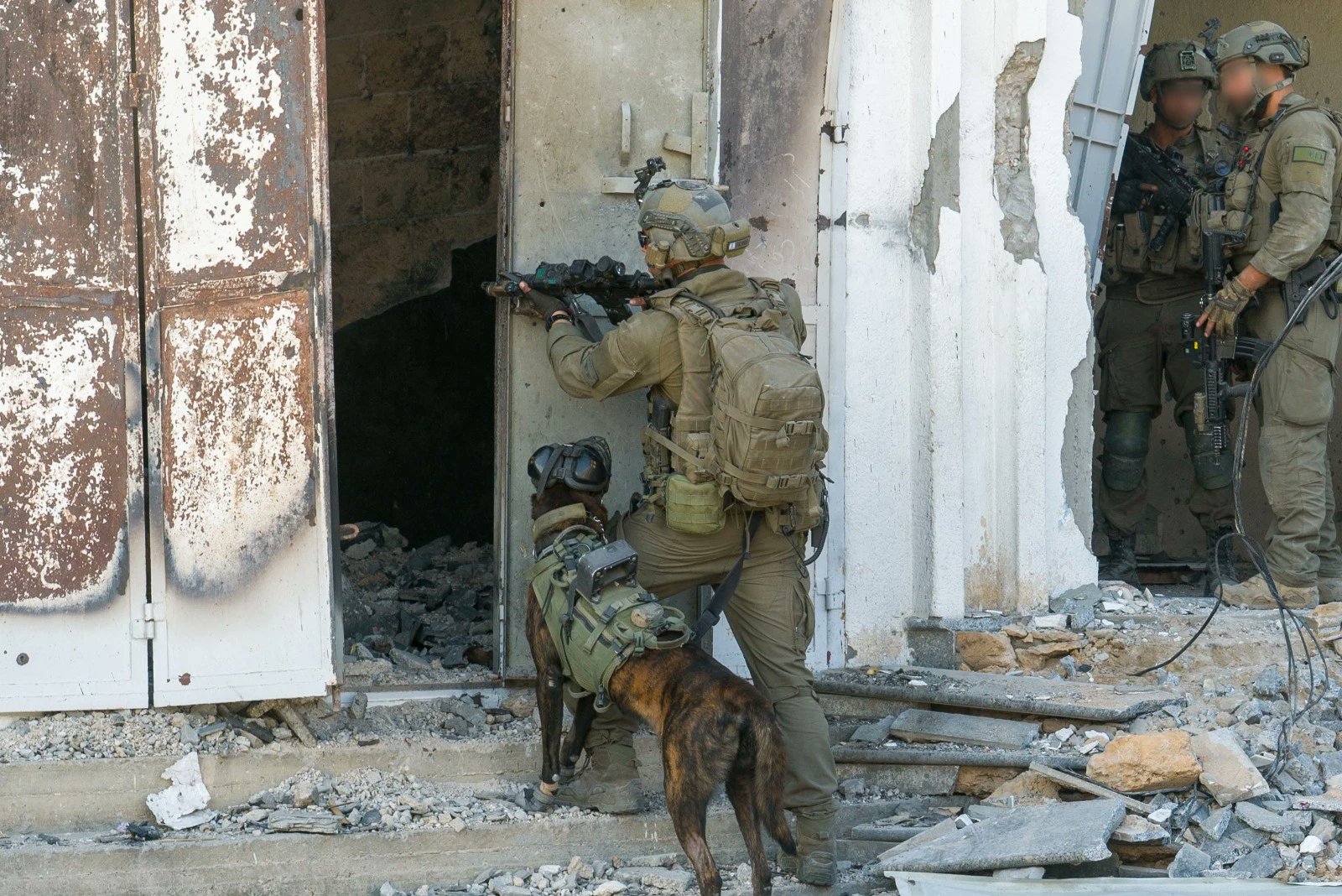 [Imagen: GCSepDPXAAAfaRI?format=jpg&name=large]