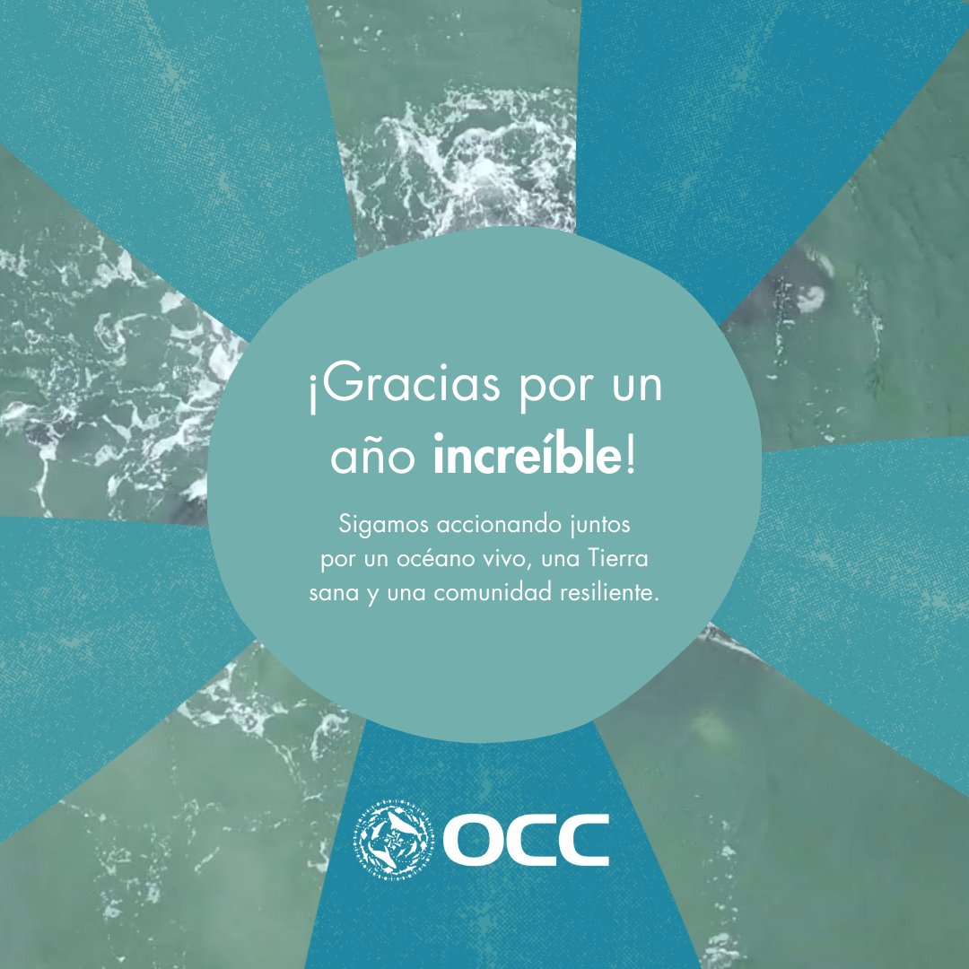 occuruguay's tweet photo. ¡Feliz año nuevo lleno de amor, esperanza y nuevos horizontes! 🌟🎆

El equipo de #OCCUruguay https://t.co/O5W5HTFZBH