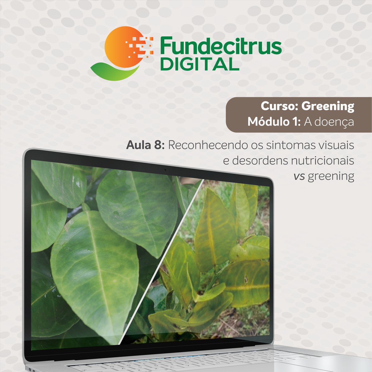 A 8ª aula do curso de Greening da plataforma Fundecitrus Digital trata sobre a diferenciação visual dos sintomas de greening e desordens nutricionais, ministrada pelo diretor do Centro de Citricultura Sylvio Moreira (IAC), Dirceu Mattos Jr.

Inscreva-se: fundecitrus.com.br/fundecitrus-di…