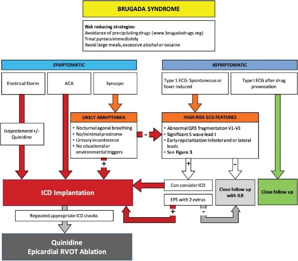 ZHeart11768530's tweet photo. Clinical Management of Brugada Syndrome: Commentary From the Experts

Using real-world cases, we explore the opinions of global experts for treating Brugada Syndrome patients who don’t fit guideline recommendations
https://t.co/oPwFC2ofSl
#CardioTwitter #cardioEd #cardiology https://t.co/aKFAnvVPSo