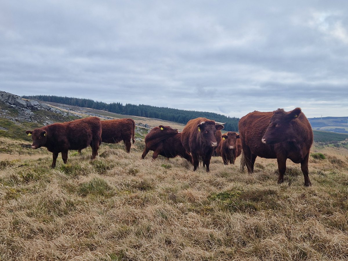 Happy Family on the mountain.