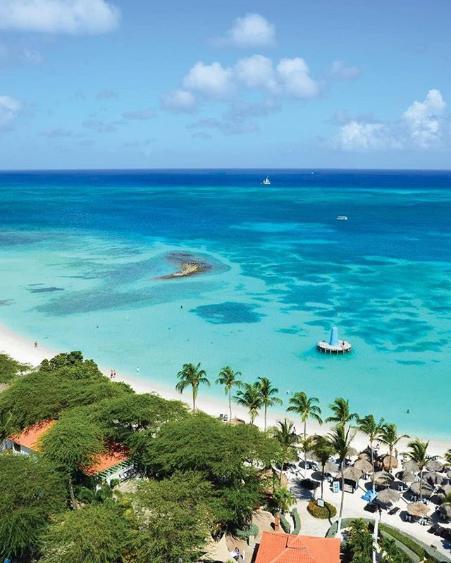 AtLargeIsland tweet media