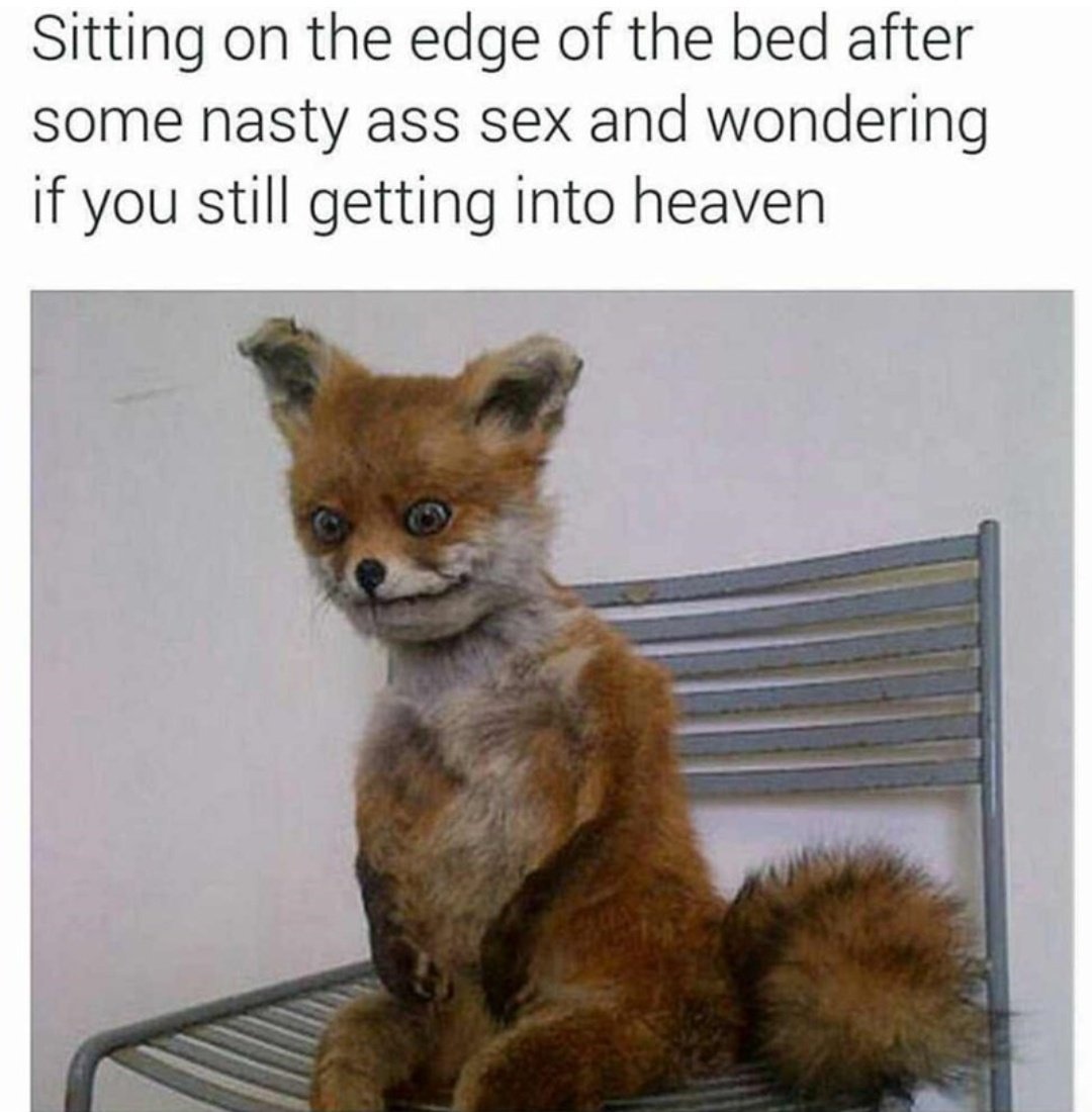 Cam4_DE's tweet photo. 😂😂😂😂 Do you agree? https://t.co/tsdBvNrt2z