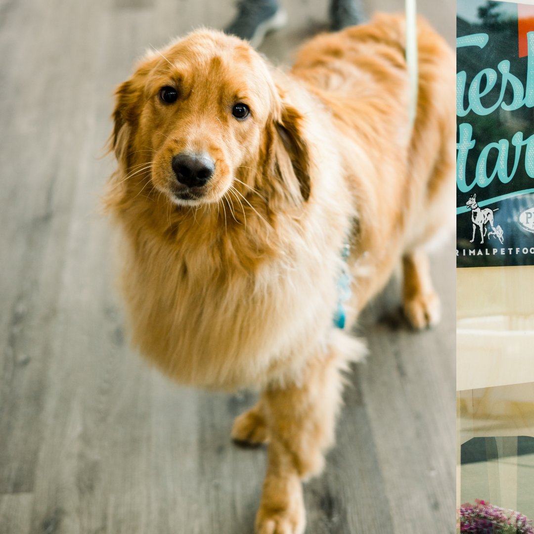 Van Aken District tweet media