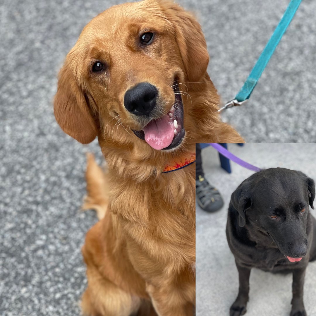 Van Aken District tweet media