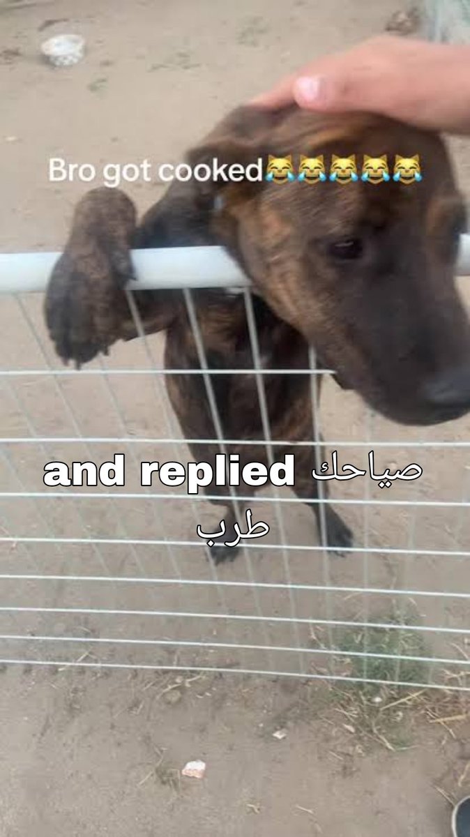 ANBBOASTINGPAGE's tweet photo. @EvilIacCamel نام كويس يسطا https://t.co/IQpZ4ticl9