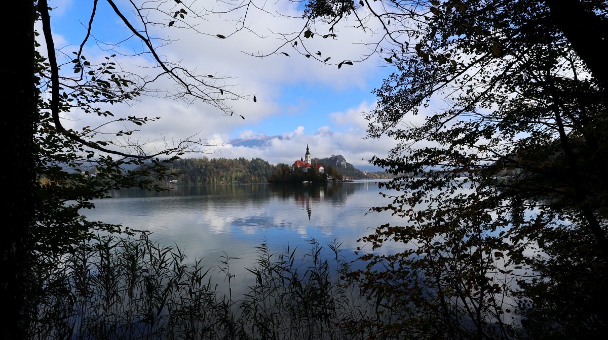 outofofficedaku's tweet photo. Day trip to #LakeBled #Slovenia from #Zagreb
Start early so you don't get traffic at the broder control. On way back cover #Ljubljana and leave late for return.
Was the only one in the 5 am bus to Lake Bled. Return did have many passengers.
📷 #OnePlus5
#DakuTripPics https://t.co/gTuRCDNR3c