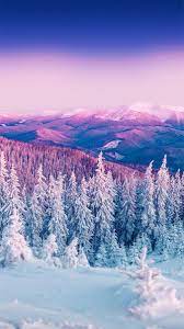 Rachel Hopkins tweet media