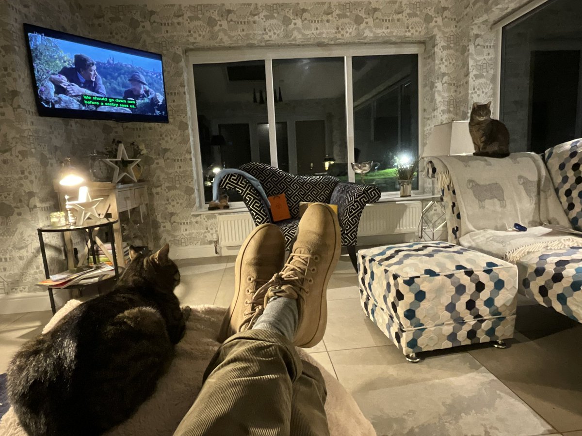 mcdermottkc_'s tweet photo. Watching #chittychitty with the cats …. #BoxingDay2023 https://t.co/P2xa6252Tx