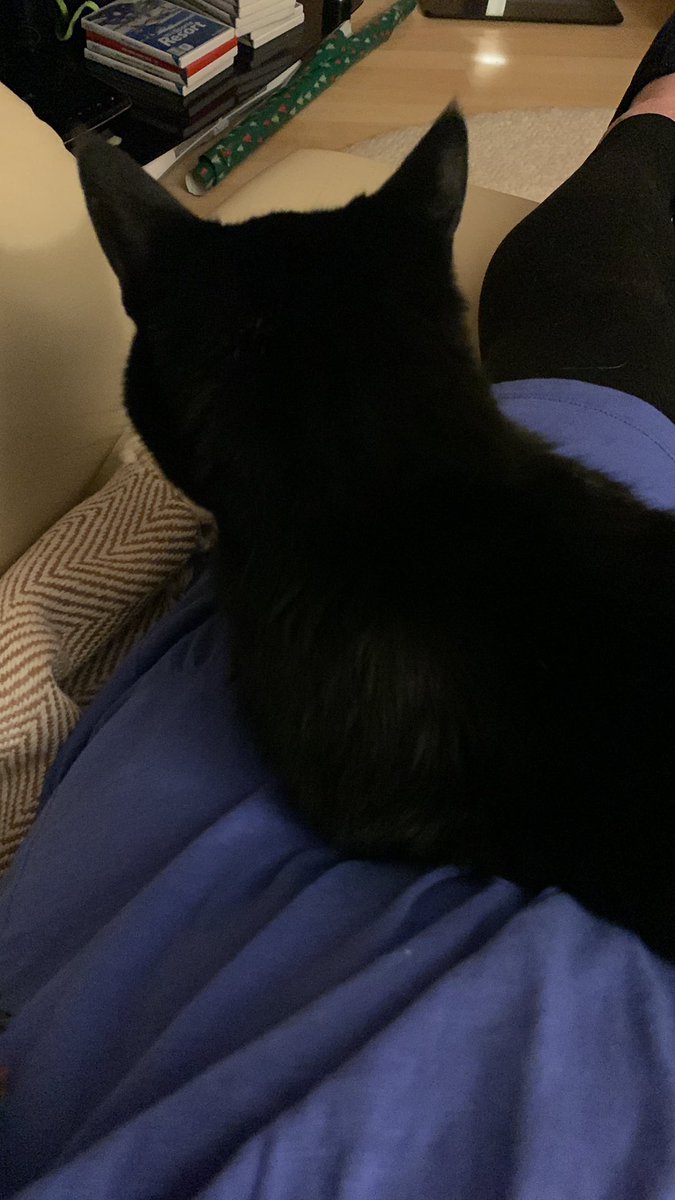 sakura07616643's tweet photo. 義実家の猫に最も愛される嫁ランキングNo.1になりました。 https://t.co/uiEKtlKnJ2