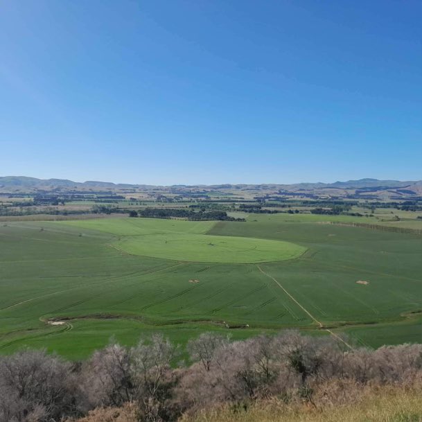 will_noble's tweet photo. Amazing opportunity in the beautiful Wairarapa for a Senior Shepherd or Farm Manager who wants to step-up in the new year https://t.co/T76TskOWhE #nzfarming #farmmananger #farmingjobs @FarmIQSystems and @FarmaxNZ skills essential https://t.co/hhkGp9uTXX