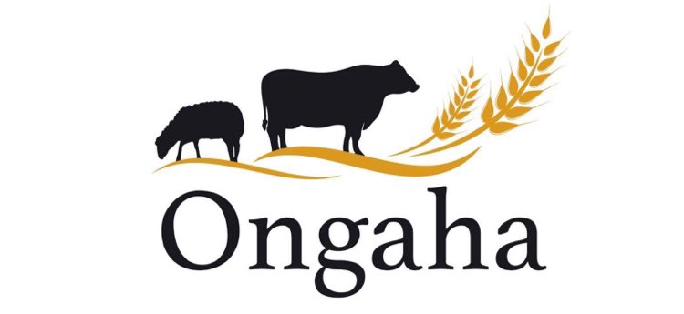 will_noble's tweet photo. Amazing opportunity in the beautiful Wairarapa for a Senior Shepherd or Farm Manager who wants to step-up in the new year https://t.co/T76TskOWhE #nzfarming #farmmananger #farmingjobs @FarmIQSystems and @FarmaxNZ skills essential https://t.co/hhkGp9uTXX