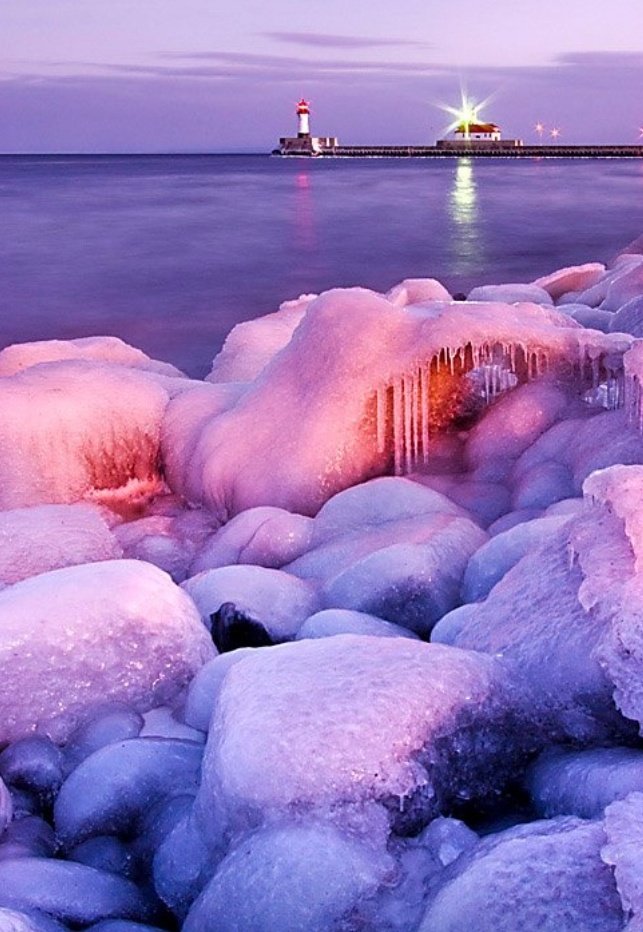 Grigör Suvari 🫀 tweet media