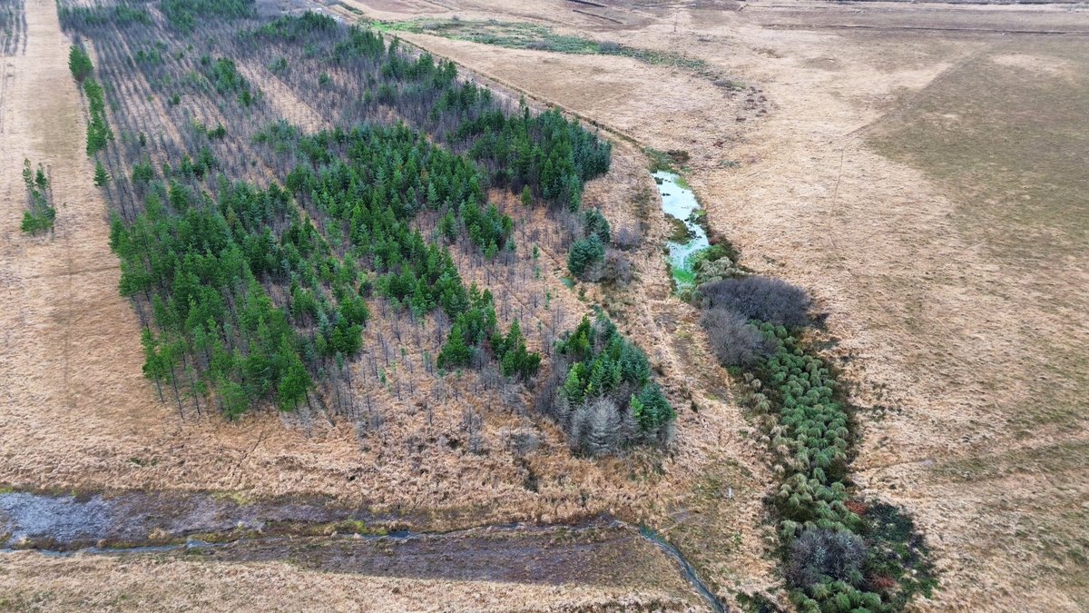 Ó Foghlú tweet media