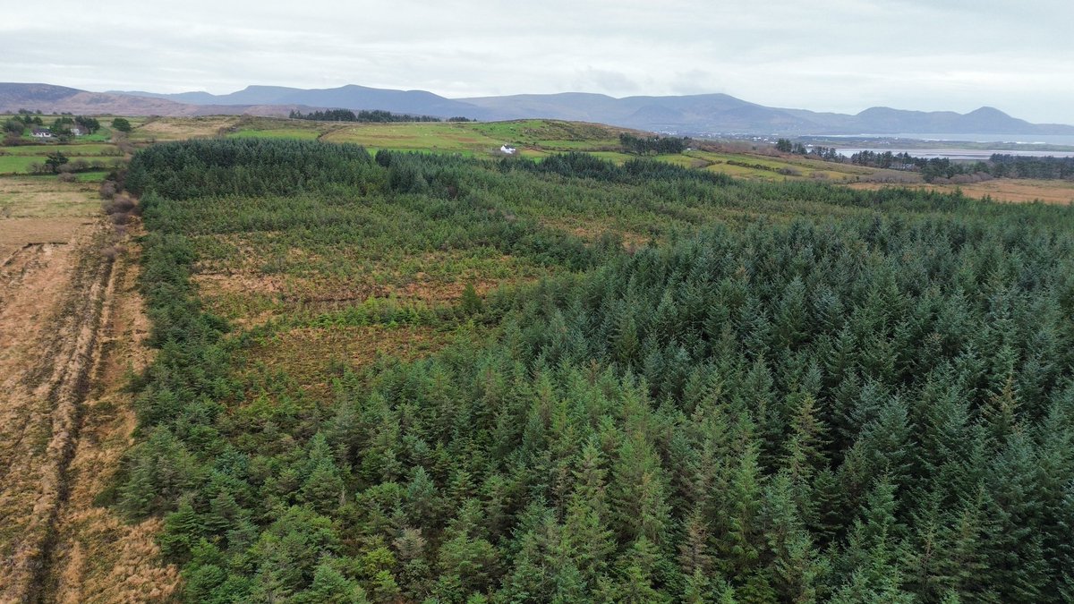 Ó Foghlú tweet media