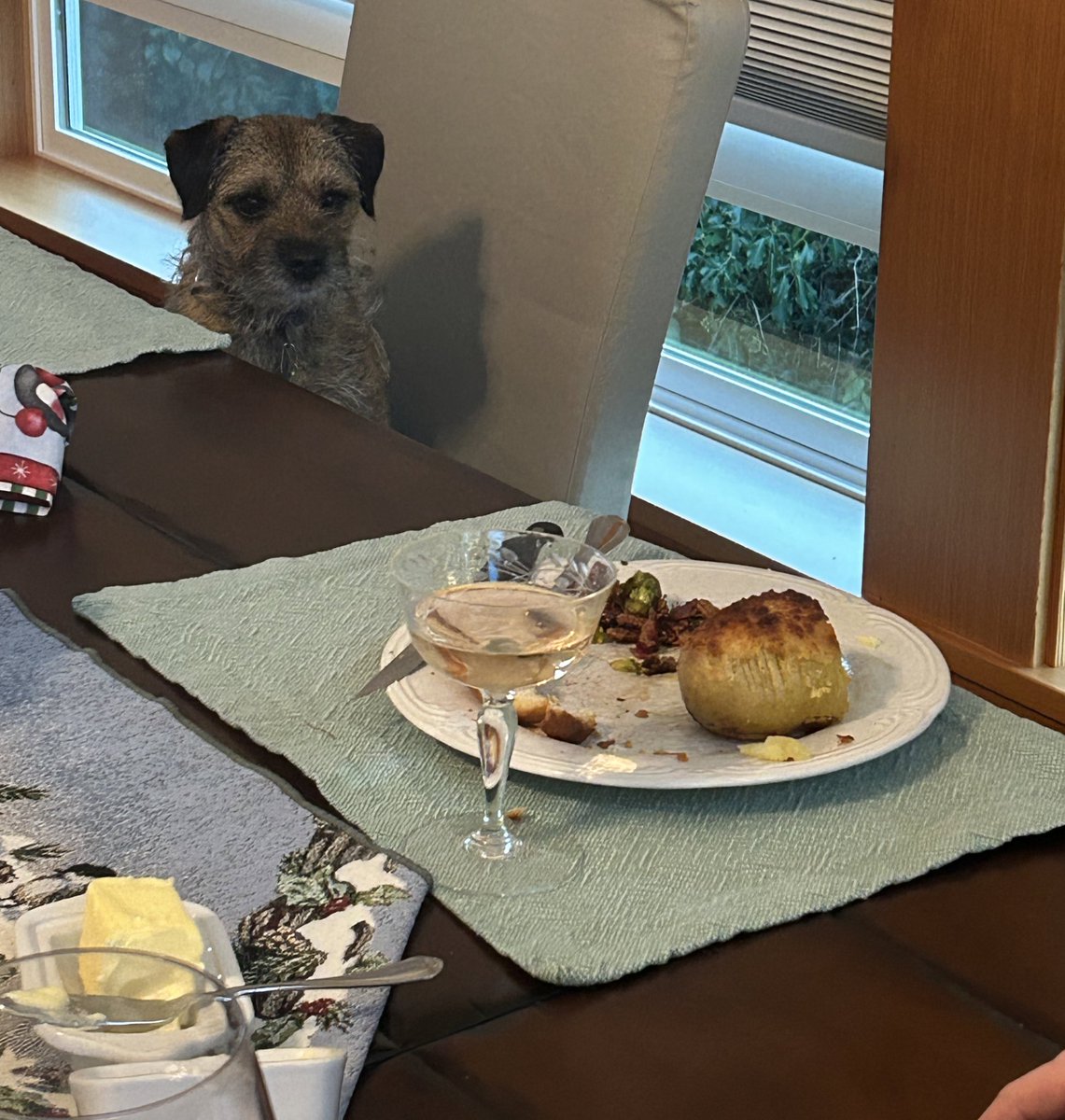 BramblePtbt's tweet photo. @lynniehamish Power stayed on and we were fed. I was invited to the table for a little minute, but I did not get my own plate. 🤨 https://t.co/ytWp4lWoeq