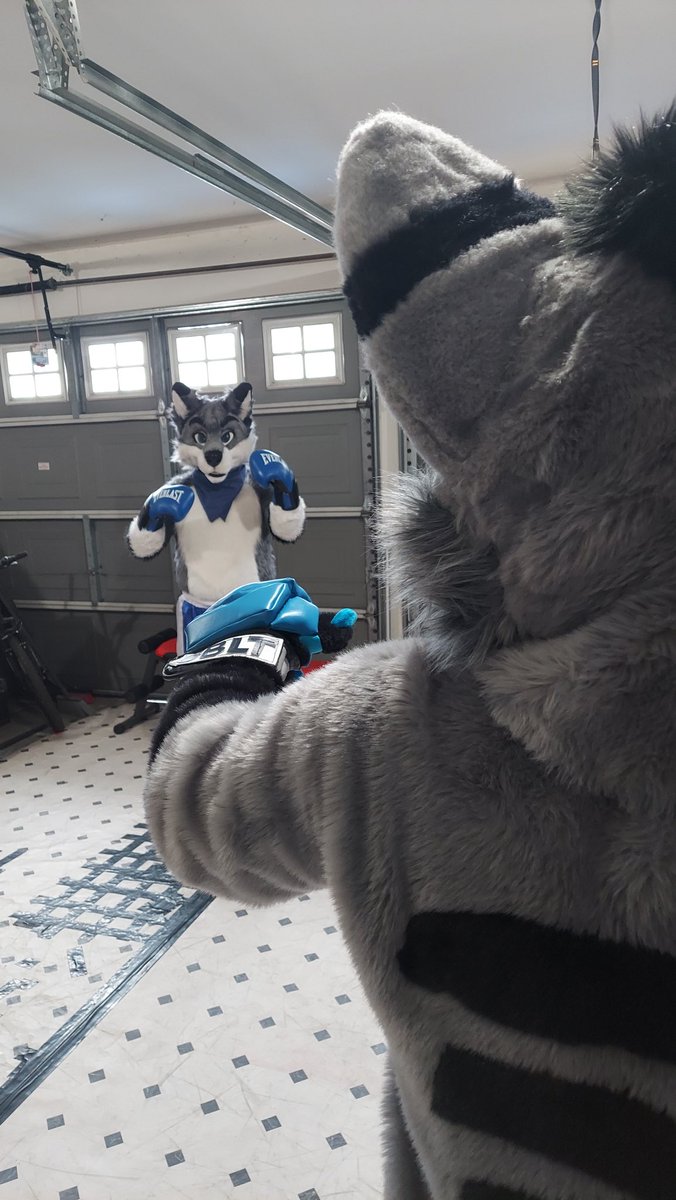 Happy Boxing Day! 🥊💦

💫: <a href="/Cobaltthewuff/">A Public Embarrassment @MFF 2024! 🐺</a>