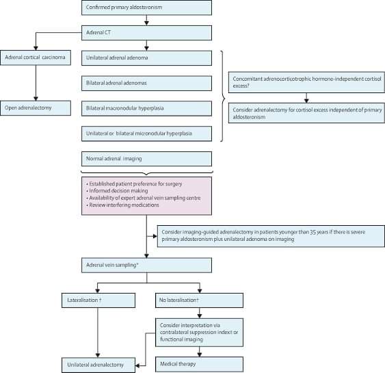 Diagnosis and treatment of primary aldosteronism #ReviewArticle 

thelancet.com/article/S2213-…
 #cardiology #CardioEd #CardioTwitter #CardioEd #MedEd #ReviewArticle #2023Review #FOAMed #clinical #meded