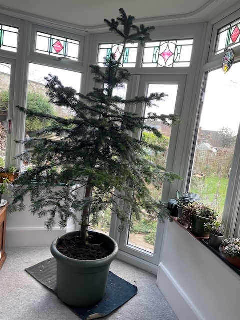 Linda Kasmaty tweet media