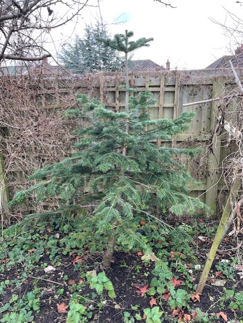 Linda Kasmaty tweet media