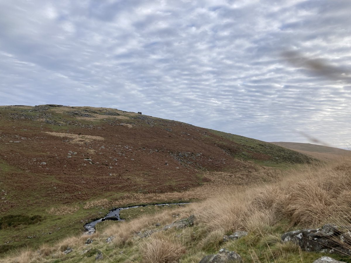 EEandLL's tweet photo. @HisCockHerTail Our walk involved scenes like this, wellies would have come in handy (the stream was impassable to us) https://t.co/27ksAqid6M