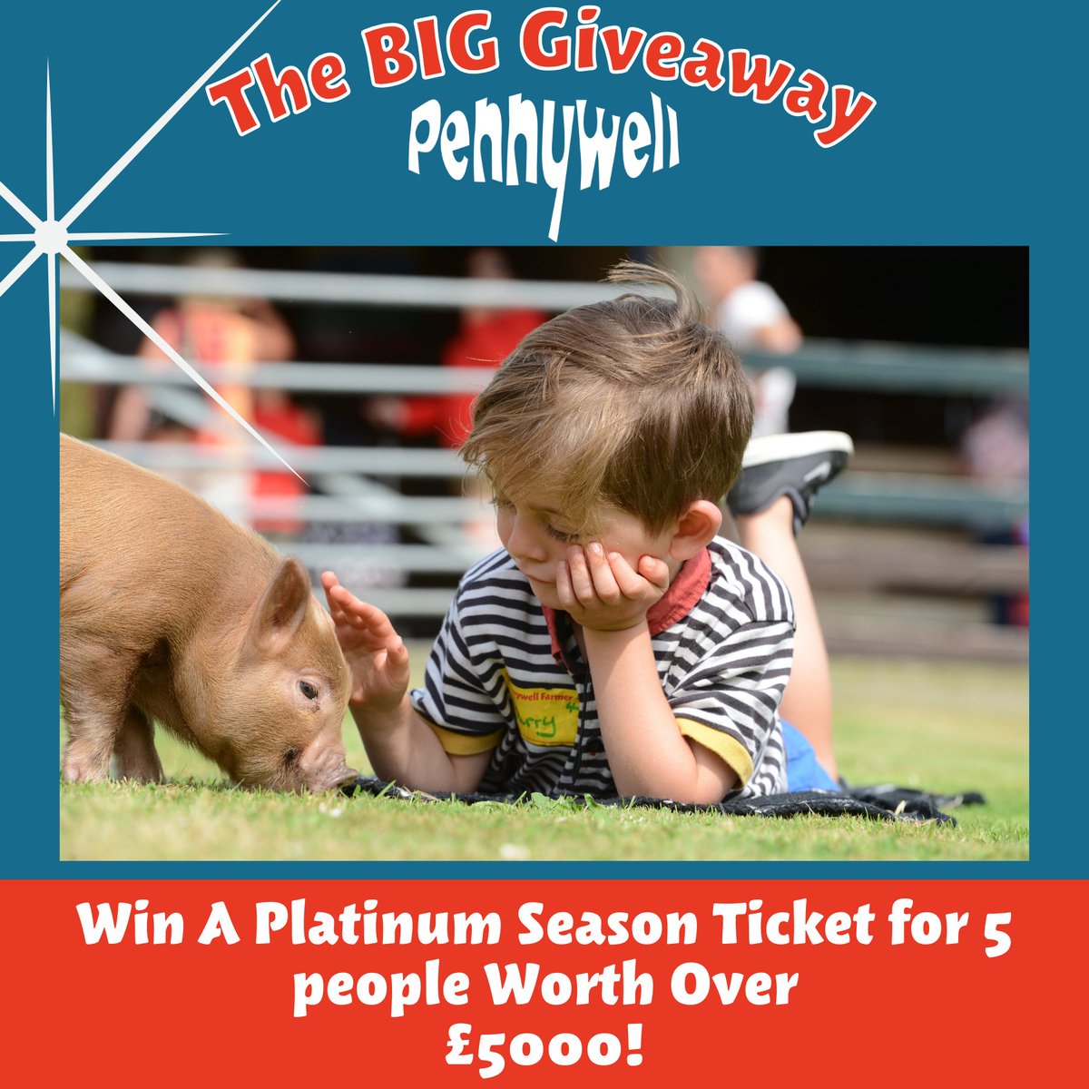 Pennywell Farm tweet media