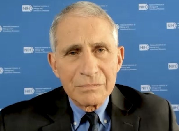 Imagine being stupid enough to think Dr. Fauci “saved lives” instead of calling him out for the “crimes against humanity” criminal he really is. I’m still amazed he hasn’t been arrested yet. #ArrestFauci #FFauci #CrimesAgainstHumanity