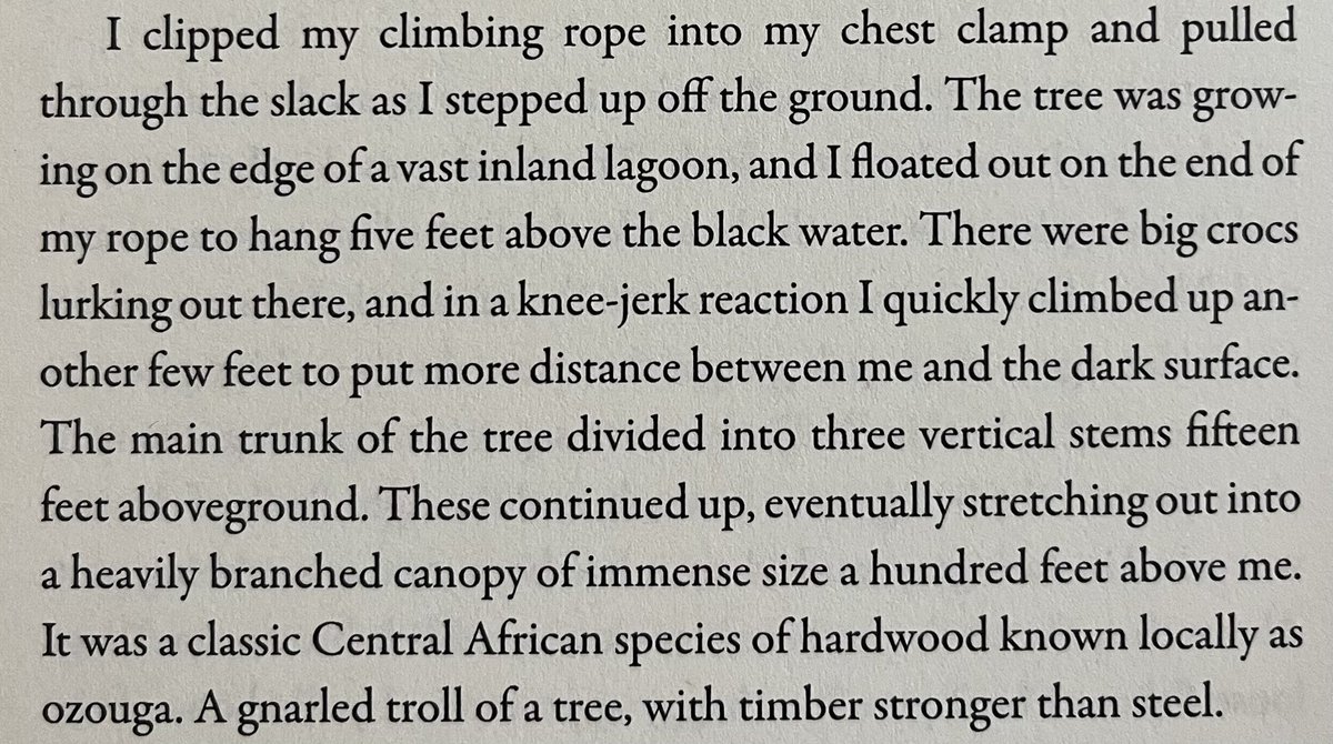anthony_ley's tweet photo. “The Man Who Climbs Trees” 
#educate #yourself #read #literature #arborist 
#information #gnome #treelife #pleasure #flow #madeforthis #climb #climber #climbing #life https://t.co/gGX5leEETf