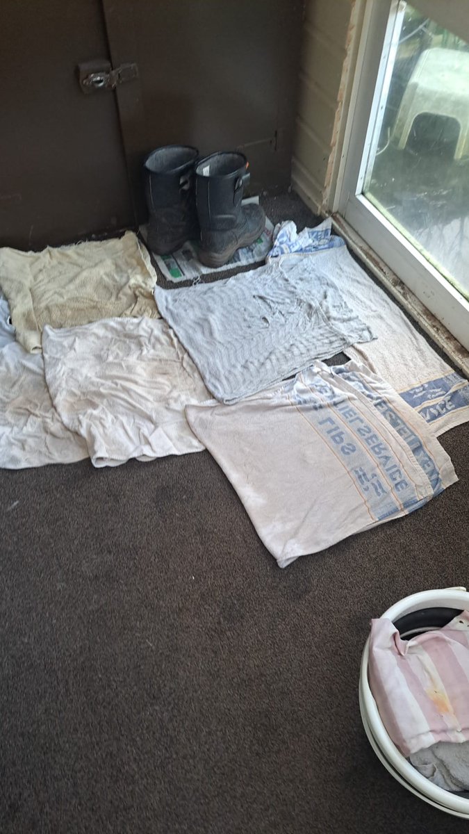 Marieke Kessel tweet media