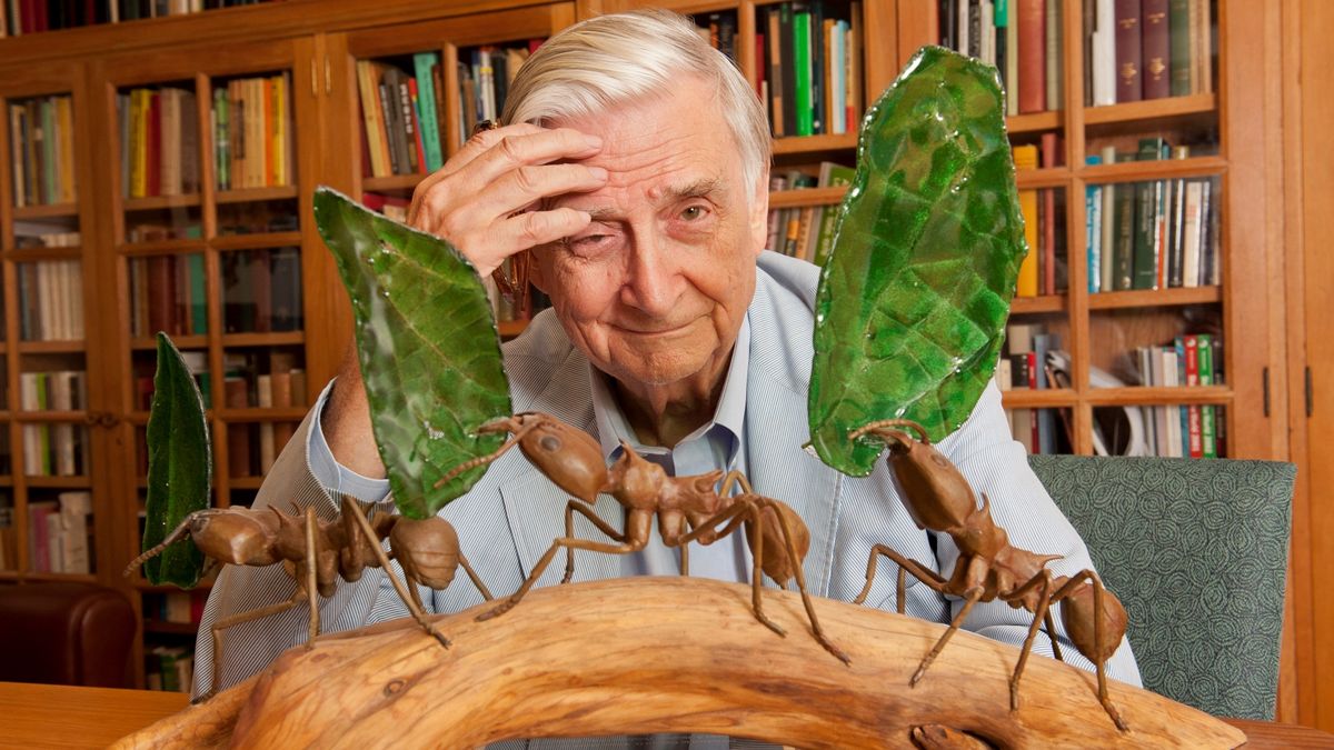 On this day in 2021 my dear friend E.O. Wilson left our planet. My time with Dr. Wilson brought me to a revelation — that our destruction of this planet is entirely arrhythmic, the opposite of creation.