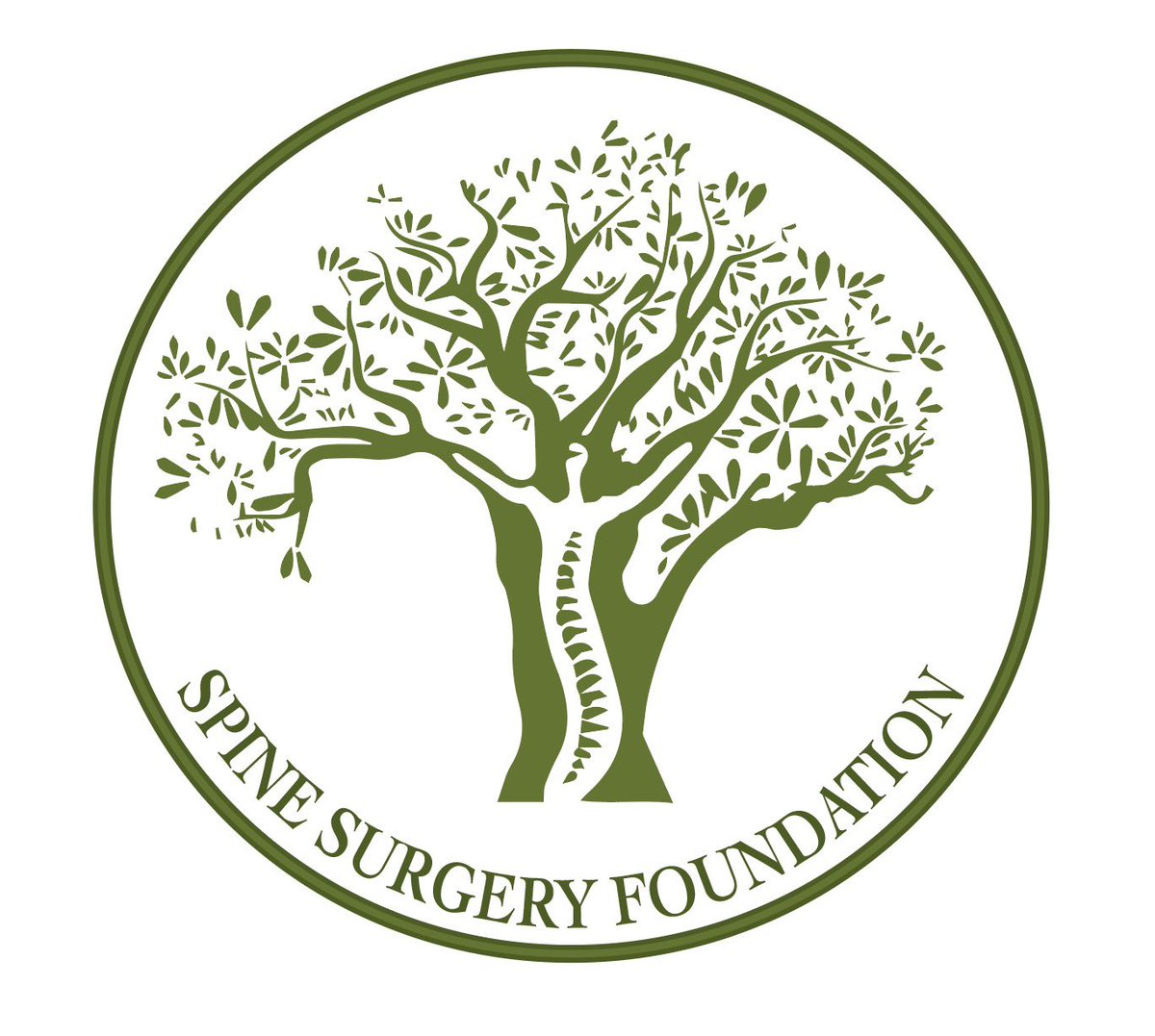 Thrilled to announce the launching of SPINE SURGERY FOUNDATION, a registered 501(c)(3) non-profit organization founded in January 2023 to perform free of charge spine surgeries in underserved communities. spinesurgeryfoundation.org Stay tuned for updates on our first trip to LEBANON