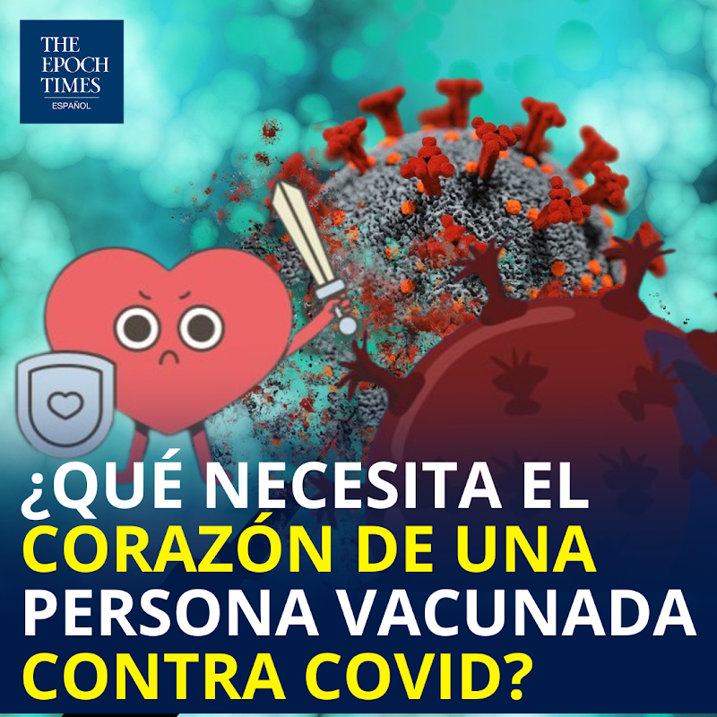 EpochTimesEs's tweet photo. ¿Qué necesita el corazón de una persona #vacunada contra COVID?

🔴MIRA LA NOTA🔴 https://t.co/CTRXv9VIZP https://t.co/YOq6drx0a0