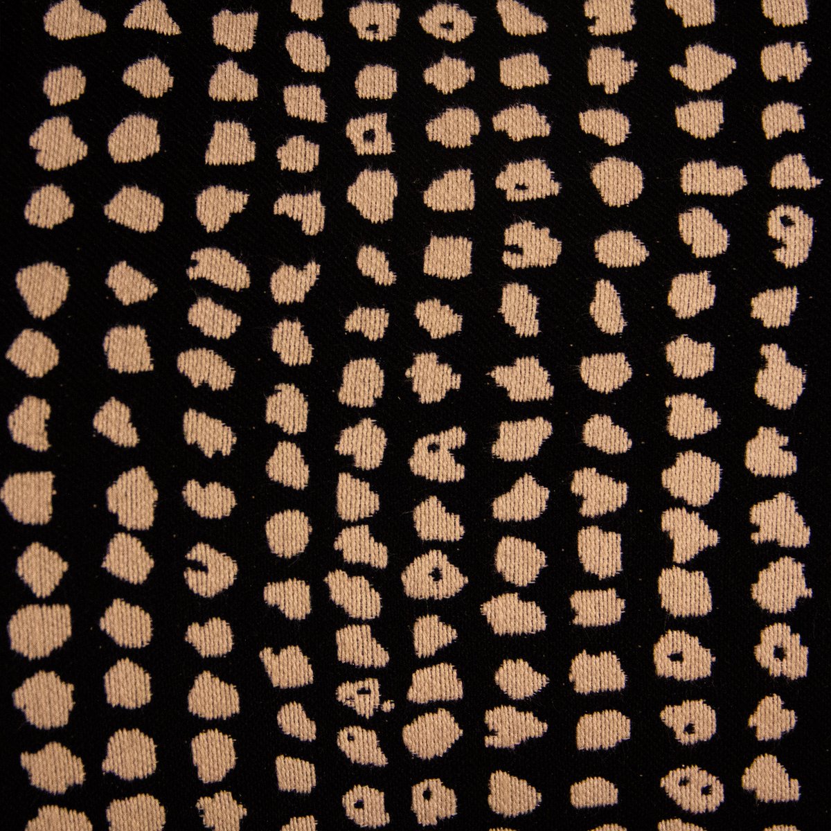 Kamelizer Spaces tweet media