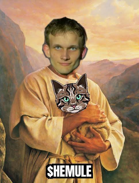 wp_influencers's tweet photo. @carlmoon Hemule = Vitalik‘s cat https://t.co/c8575DShcX