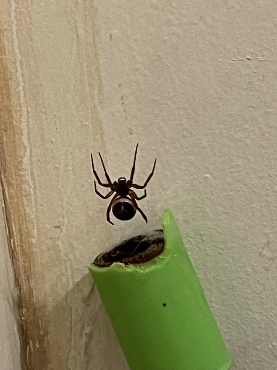 Chris Jordan🍑 tweet media