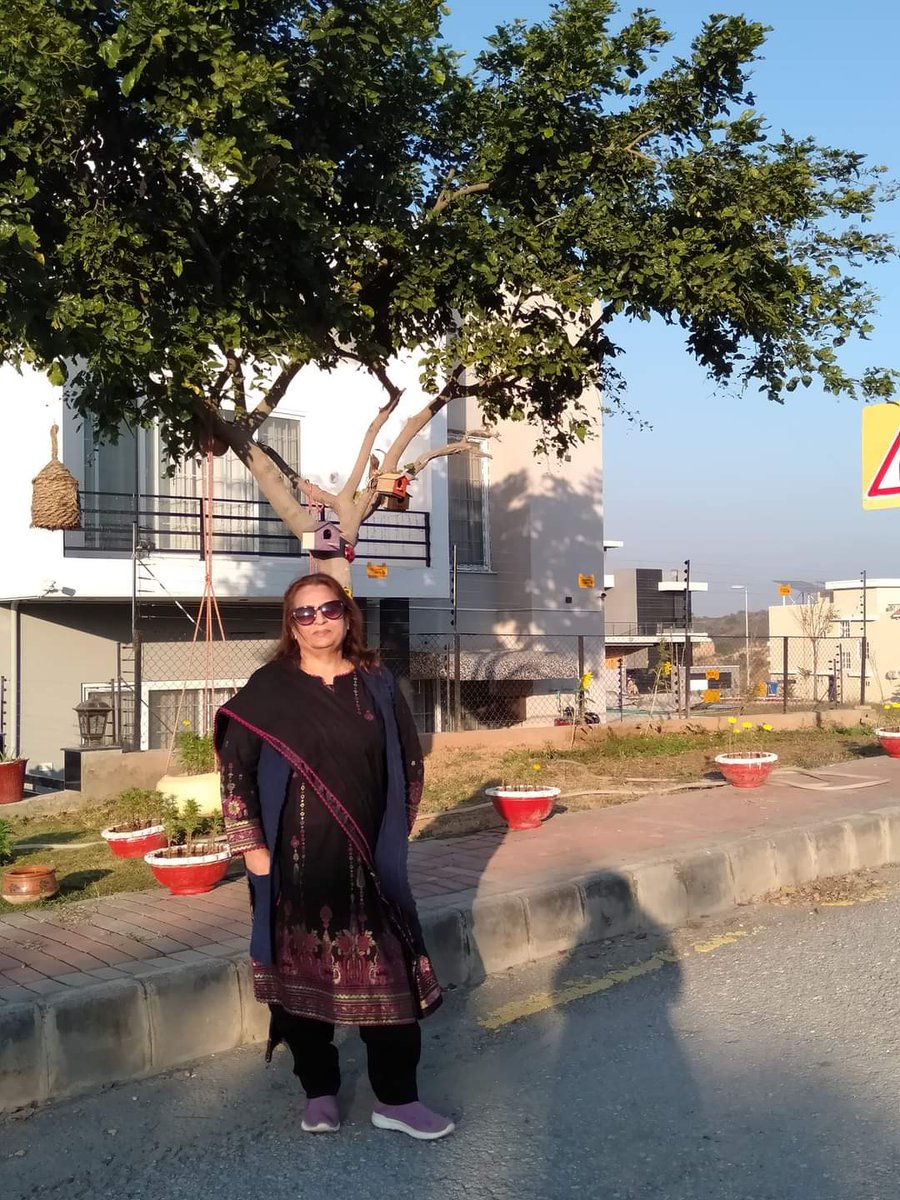 Tehmina_Fit's tweet photo. https://t.co/ybZqJ93mHJ