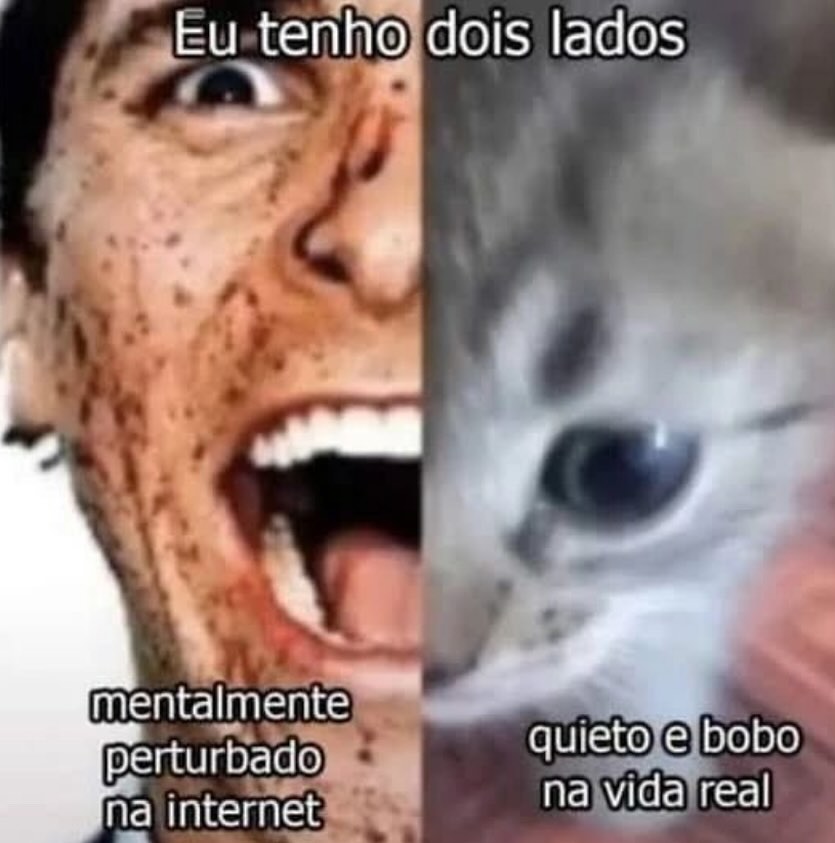 perfil dedicado a gatinhos e peitos (@odeiootaco) on Twitter photo 
