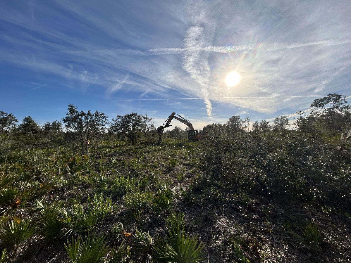 Breaking ground at Soleta Golf Club, Myakka City, FL! 🌟

Our team is shaping the future of this extraordinary project.

Check out the exclusive behind-the-scenes photos! 👇✨

Stay tuned for updates as we bring innovation, expertise, and passion to every inch!