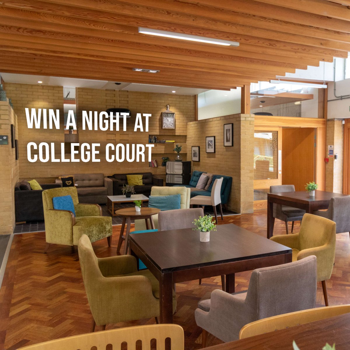 This Christmas, we're giving you the chance to win a stay at College Court, a beautiful hotel right on the edge of Leicester. Explore the city and get a room for 2 plus breakfast on us. Just follow the link to enter ow.ly/Axay50Ql3y7 #leicester #competition #christmas